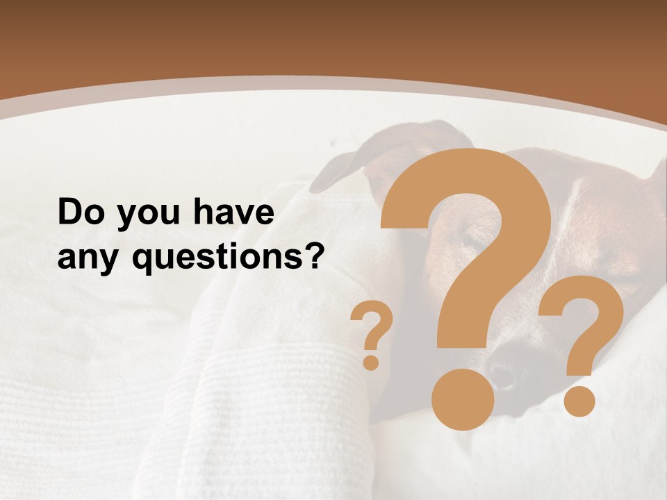 Ill Animal Sleep PowerPoint Template