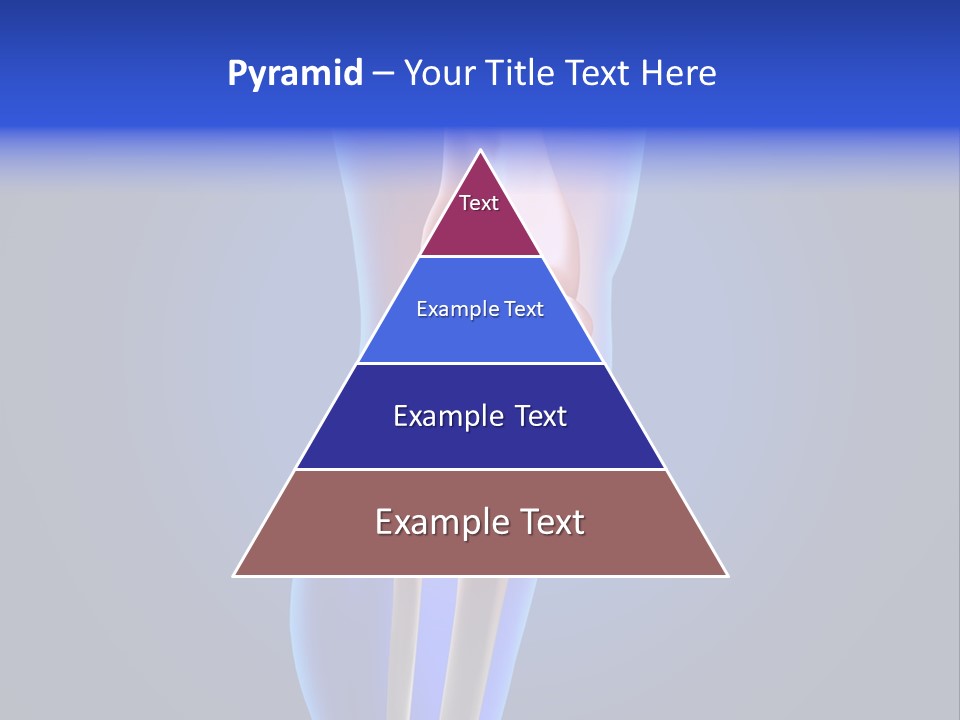 Osteoporosis Medicine Arthritis PowerPoint Template