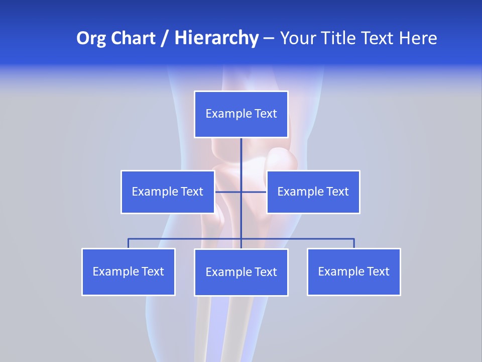 Osteoporosis Medicine Arthritis PowerPoint Template