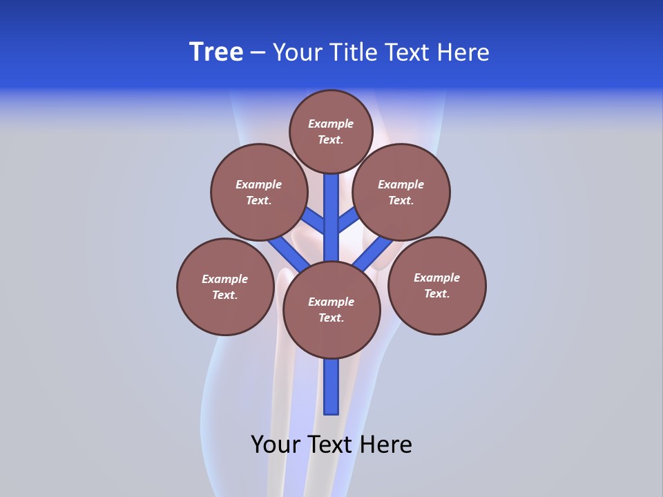 Osteoporosis Medicine Arthritis PowerPoint Template