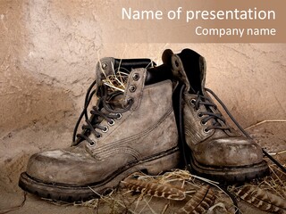 Pair Shoes Leather PowerPoint Template