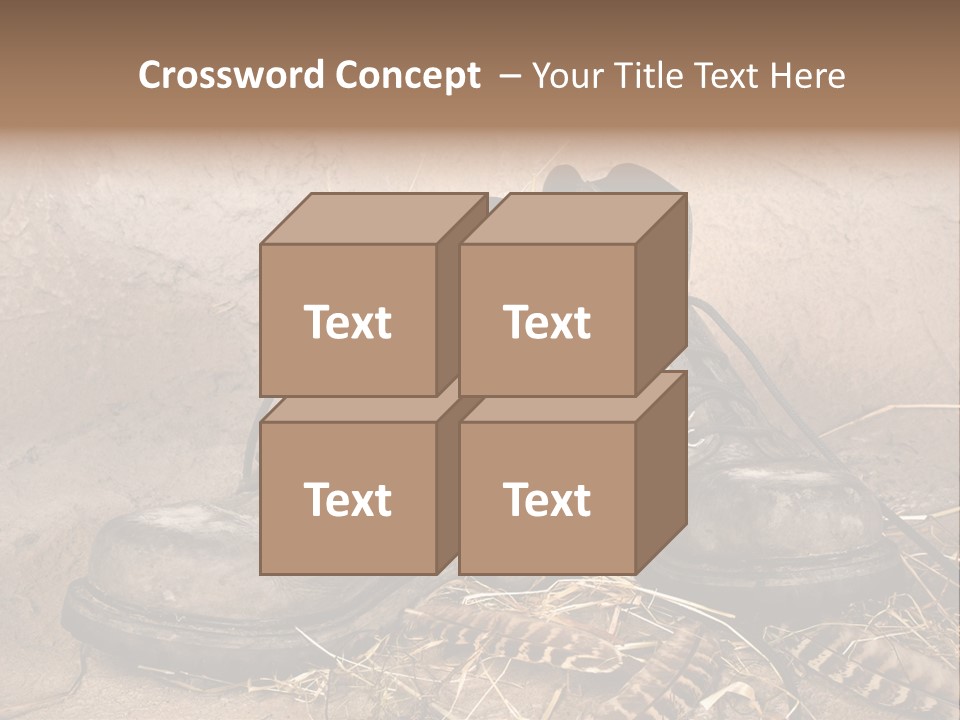 Pair Shoes Leather PowerPoint Template