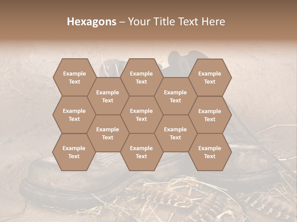 Pair Shoes Leather PowerPoint Template