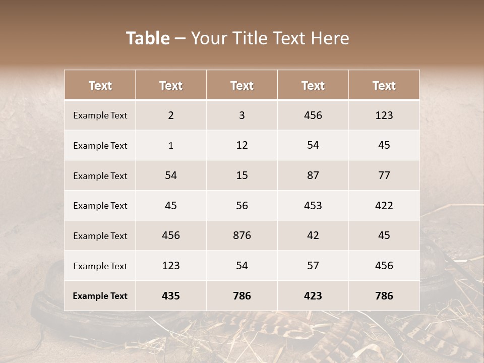 Pair Shoes Leather PowerPoint Template