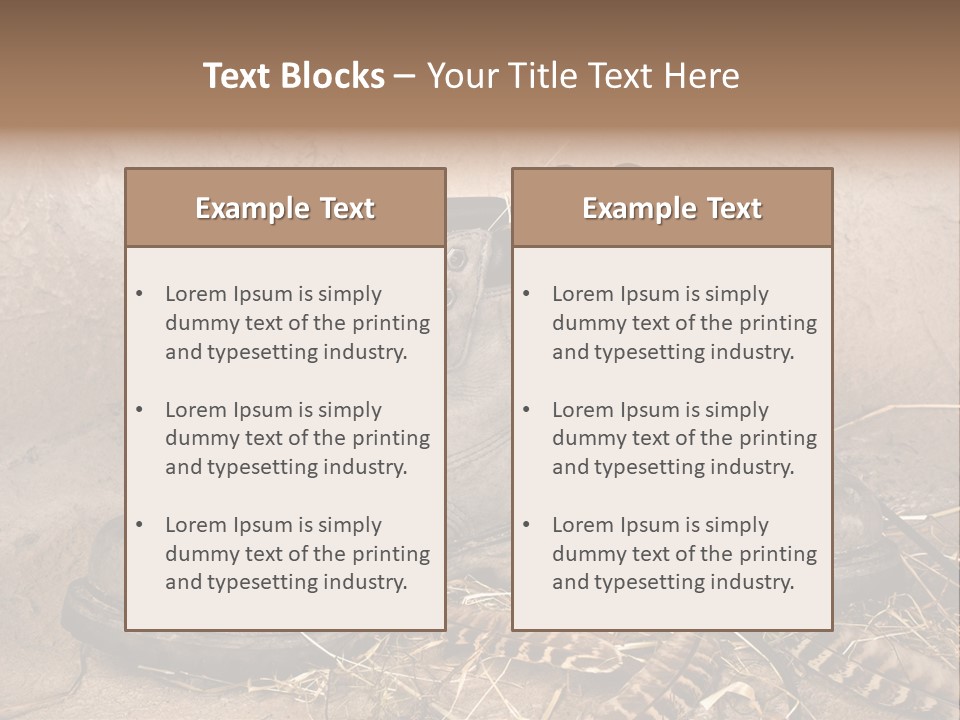 Pair Shoes Leather PowerPoint Template