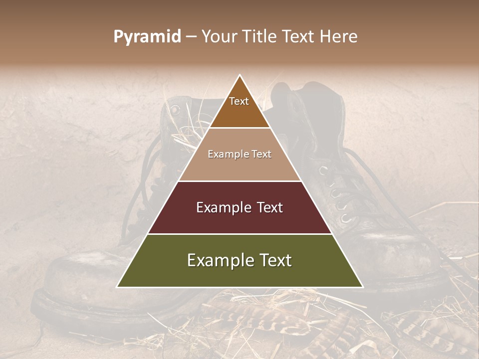 Pair Shoes Leather PowerPoint Template