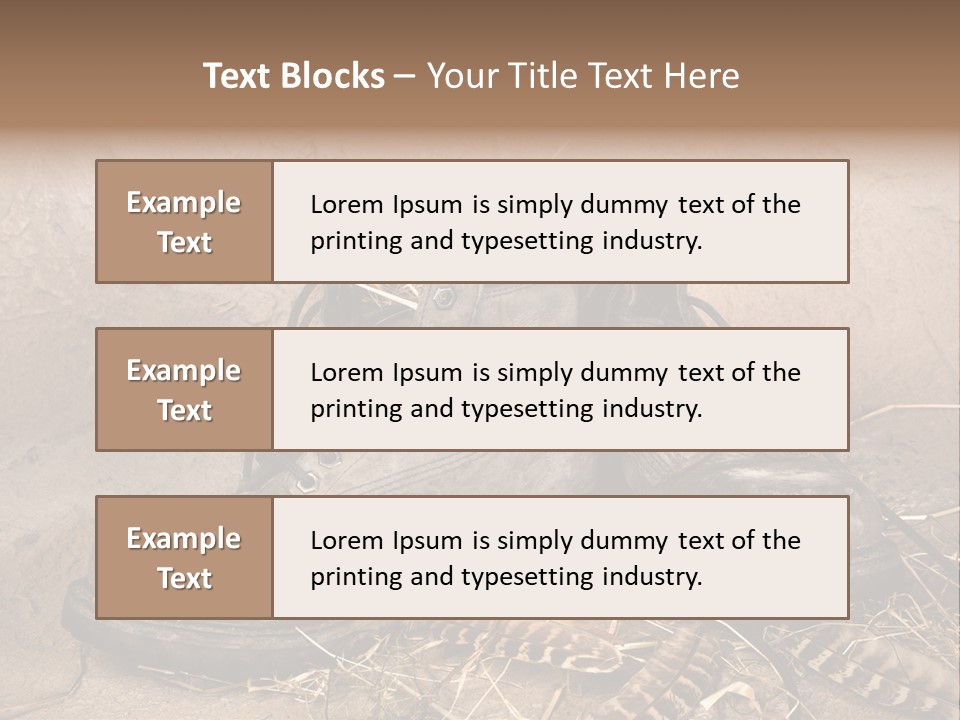 Pair Shoes Leather PowerPoint Template