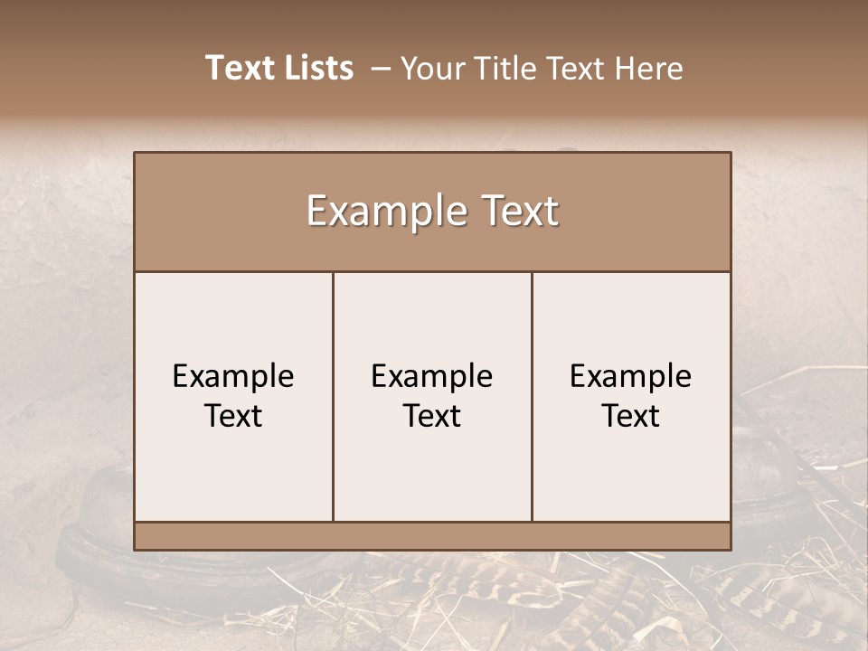 Pair Shoes Leather PowerPoint Template
