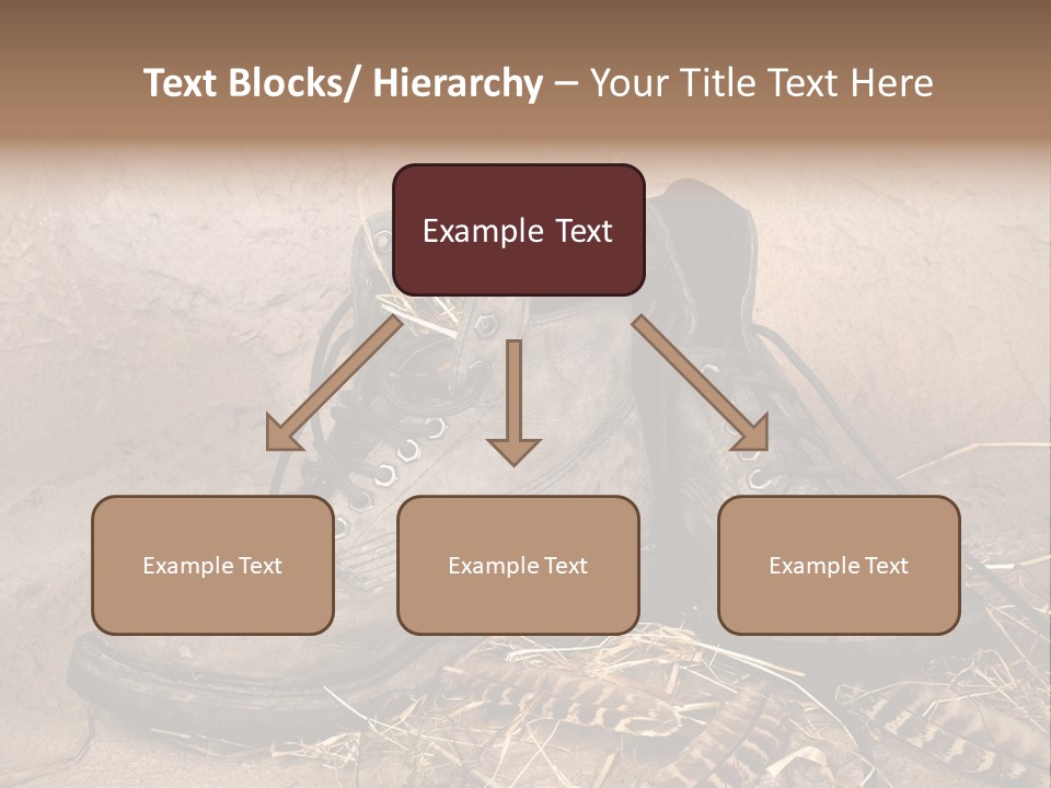 Pair Shoes Leather PowerPoint Template