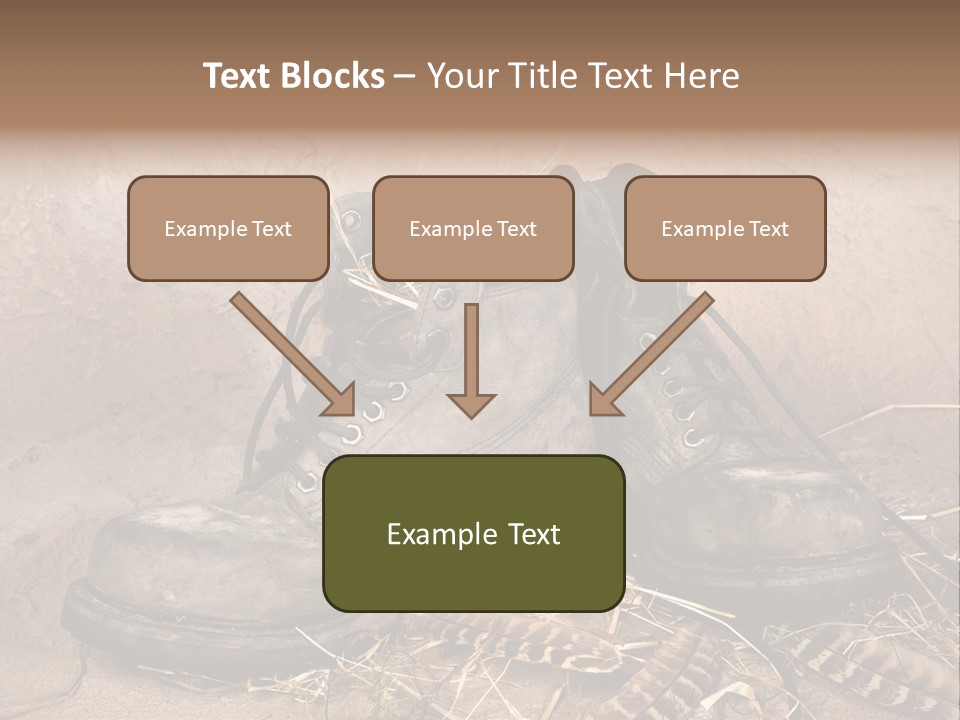 Pair Shoes Leather PowerPoint Template