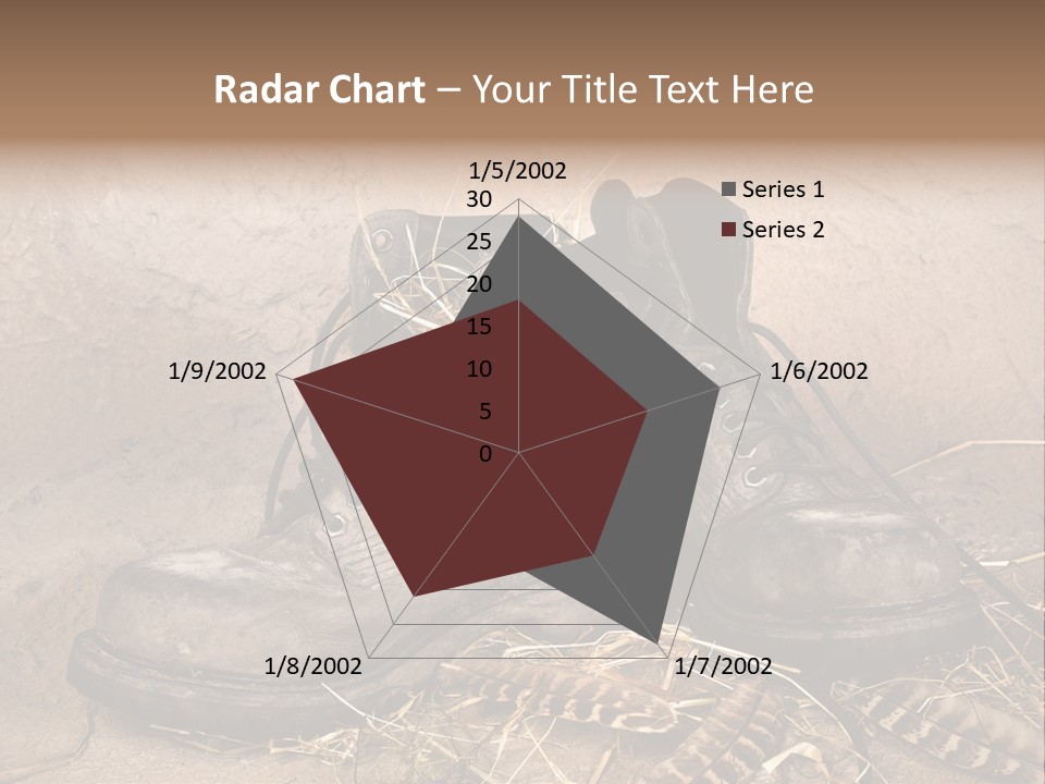 Pair Shoes Leather PowerPoint Template