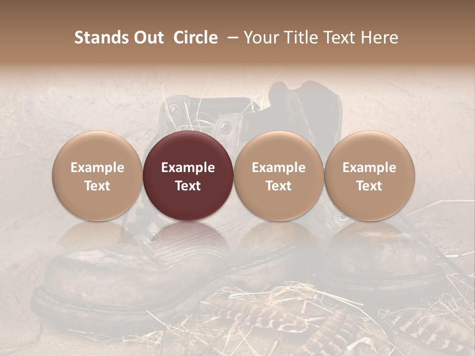 Pair Shoes Leather PowerPoint Template