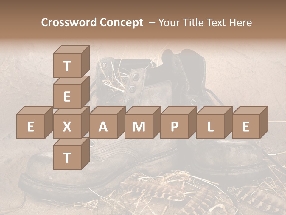 Pair Shoes Leather PowerPoint Template