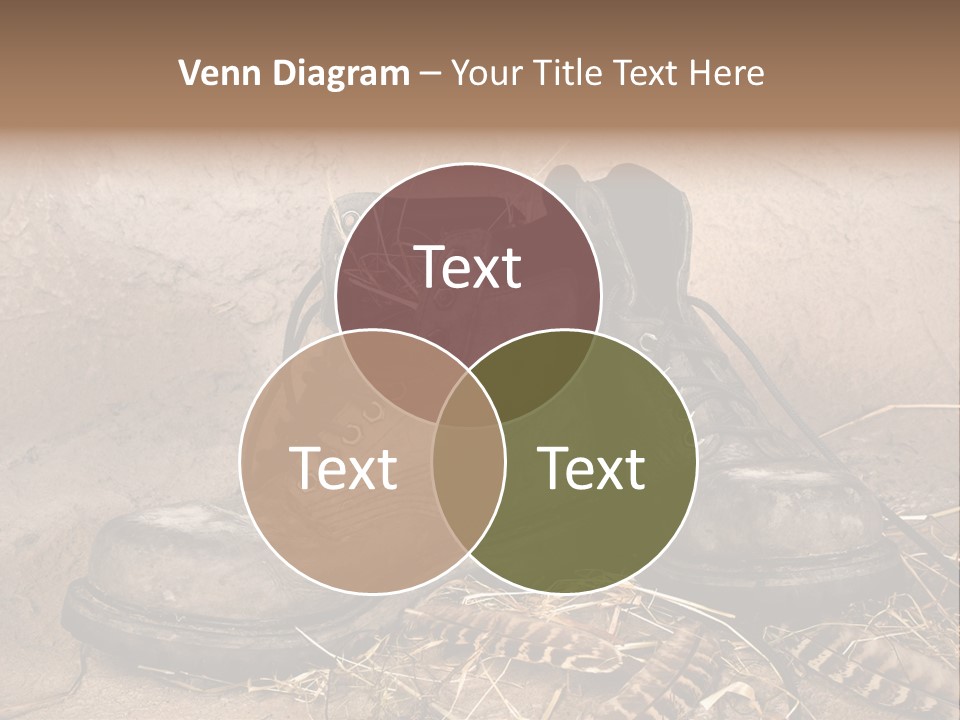 Pair Shoes Leather PowerPoint Template