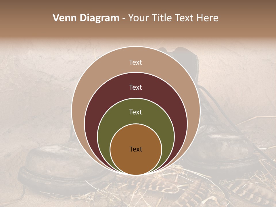 Pair Shoes Leather PowerPoint Template