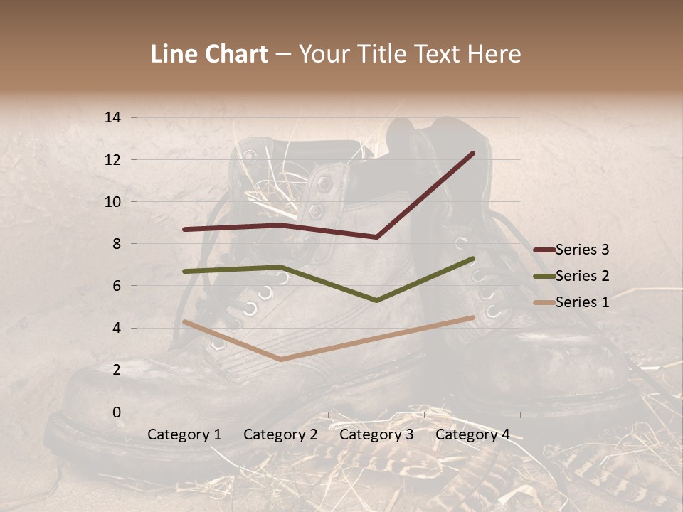 Pair Shoes Leather PowerPoint Template