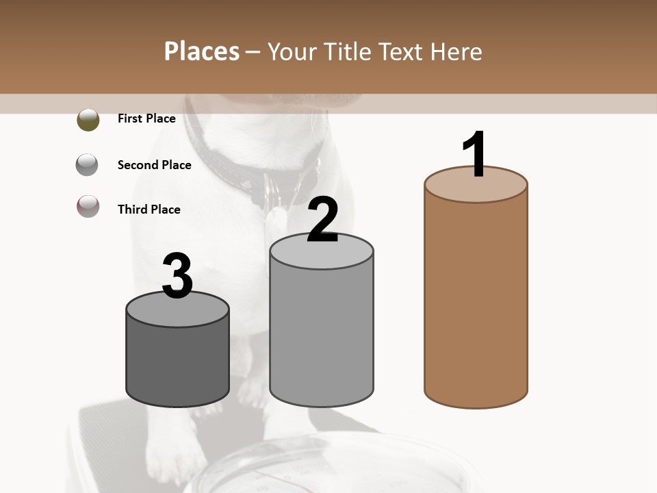 Diet Scale Veterinarian PowerPoint Template