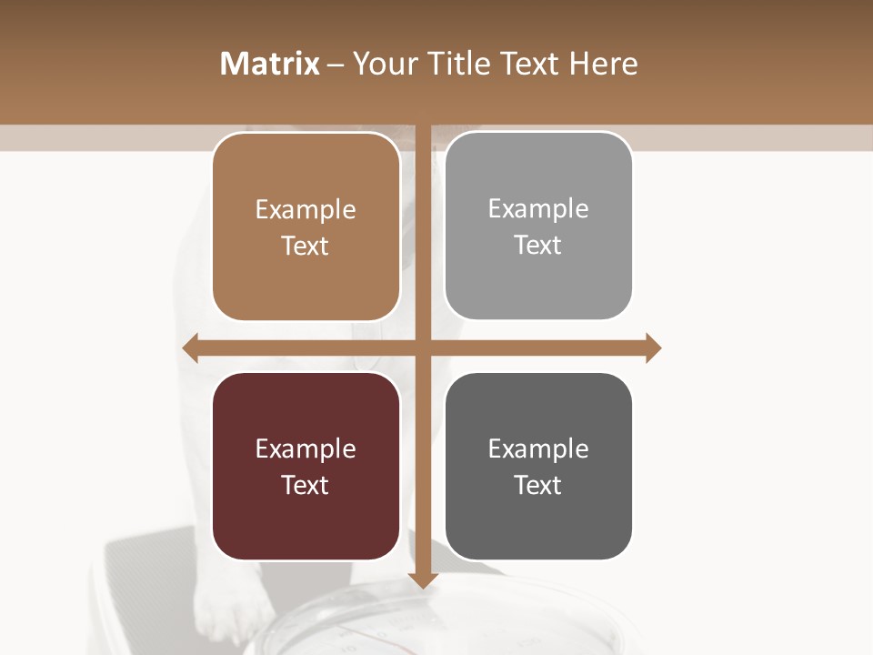 Diet Scale Veterinarian PowerPoint Template