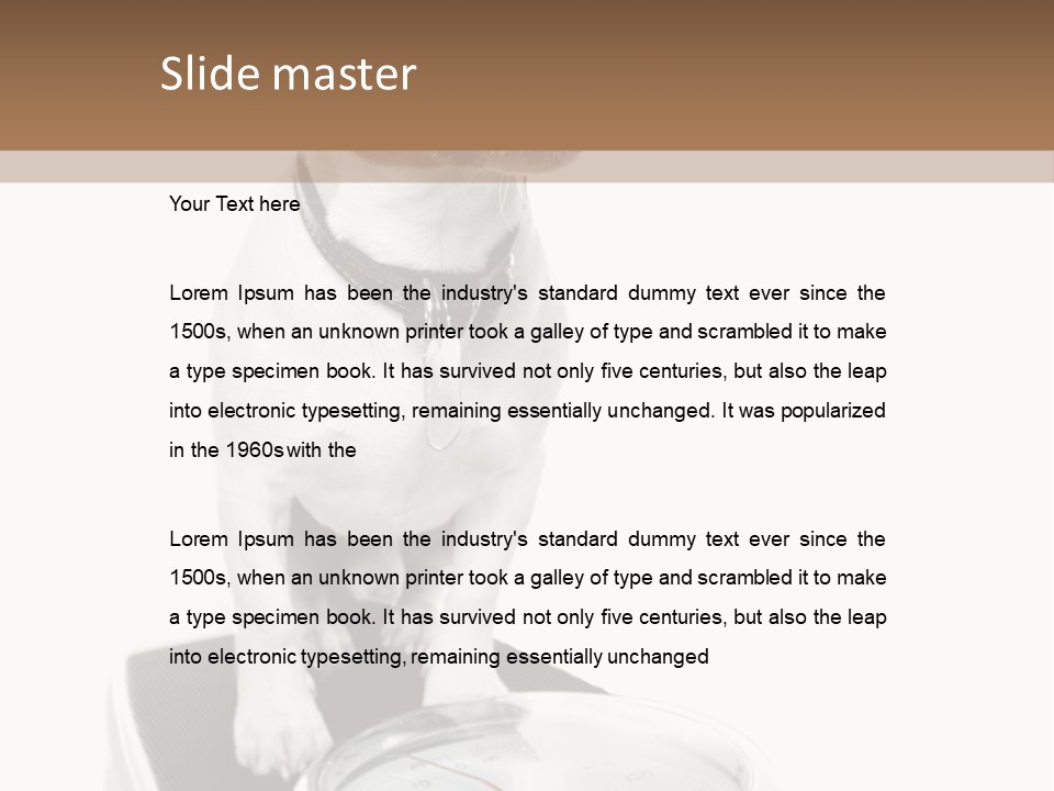 Diet Scale Veterinarian PowerPoint Template