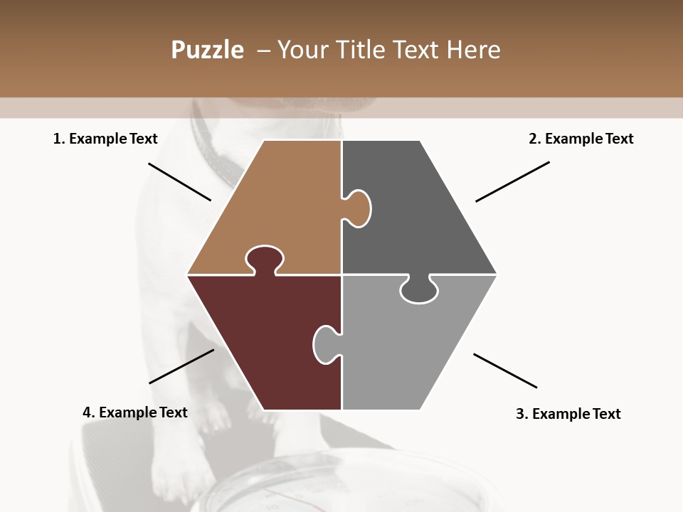 Diet Scale Veterinarian PowerPoint Template