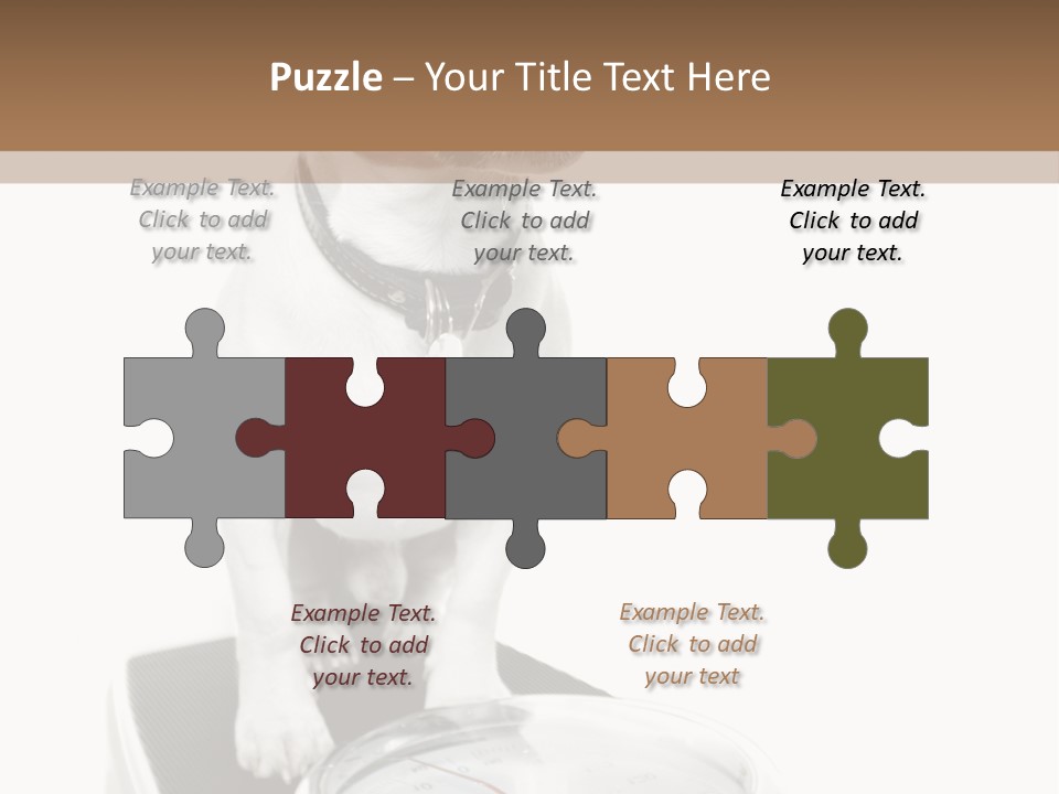 Diet Scale Veterinarian PowerPoint Template