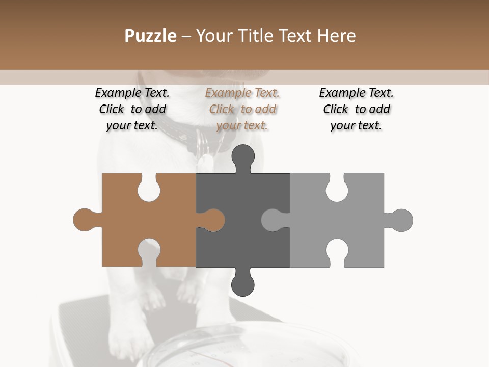 Diet Scale Veterinarian PowerPoint Template