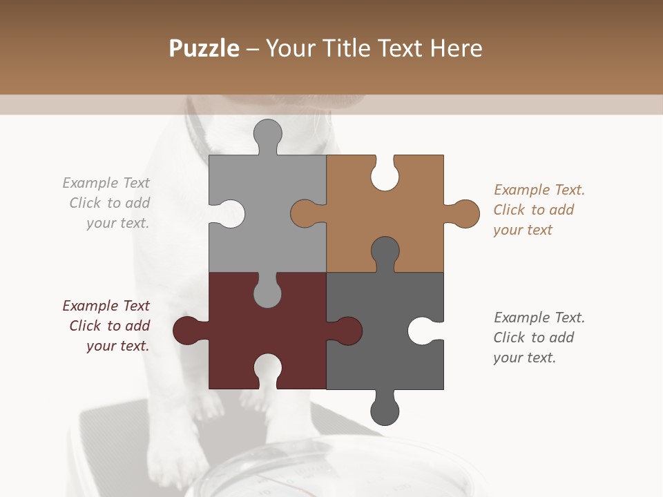 Diet Scale Veterinarian PowerPoint Template