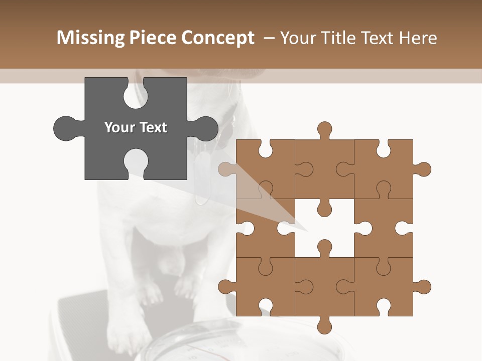 Diet Scale Veterinarian PowerPoint Template