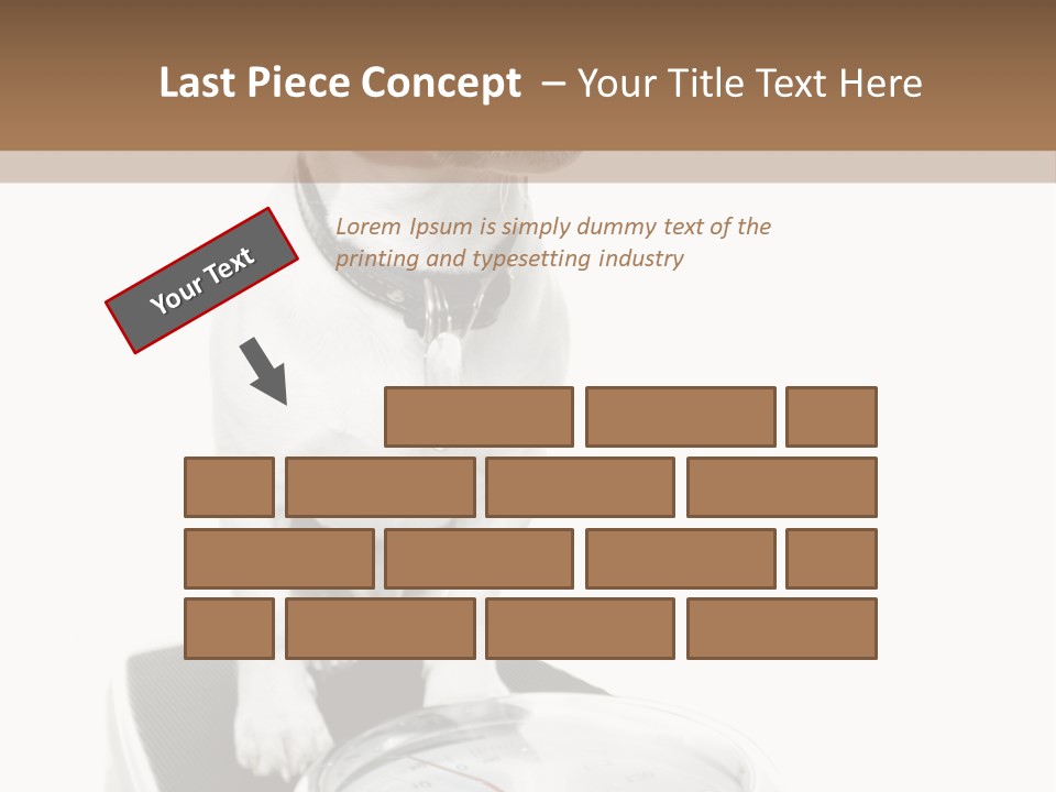 Diet Scale Veterinarian PowerPoint Template