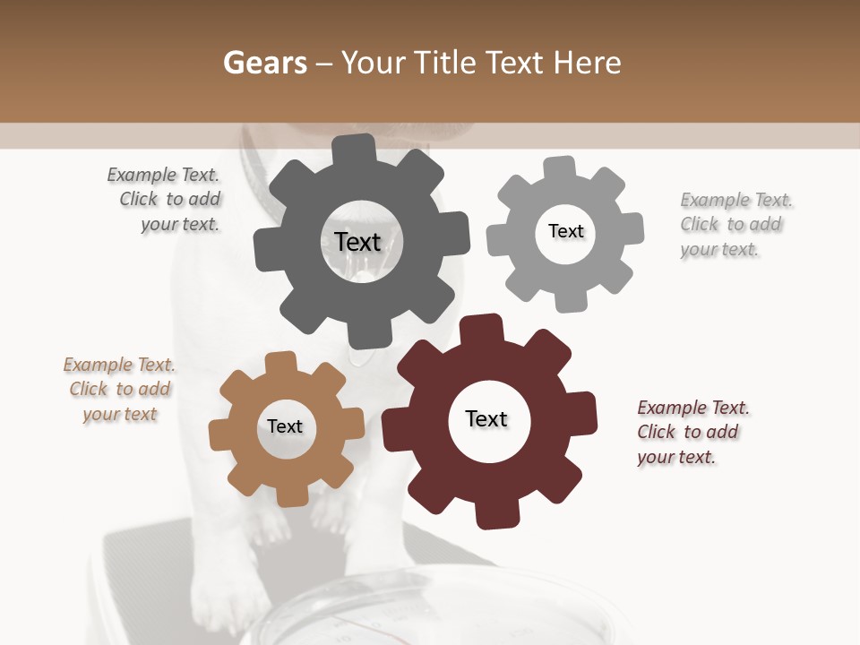 Diet Scale Veterinarian PowerPoint Template