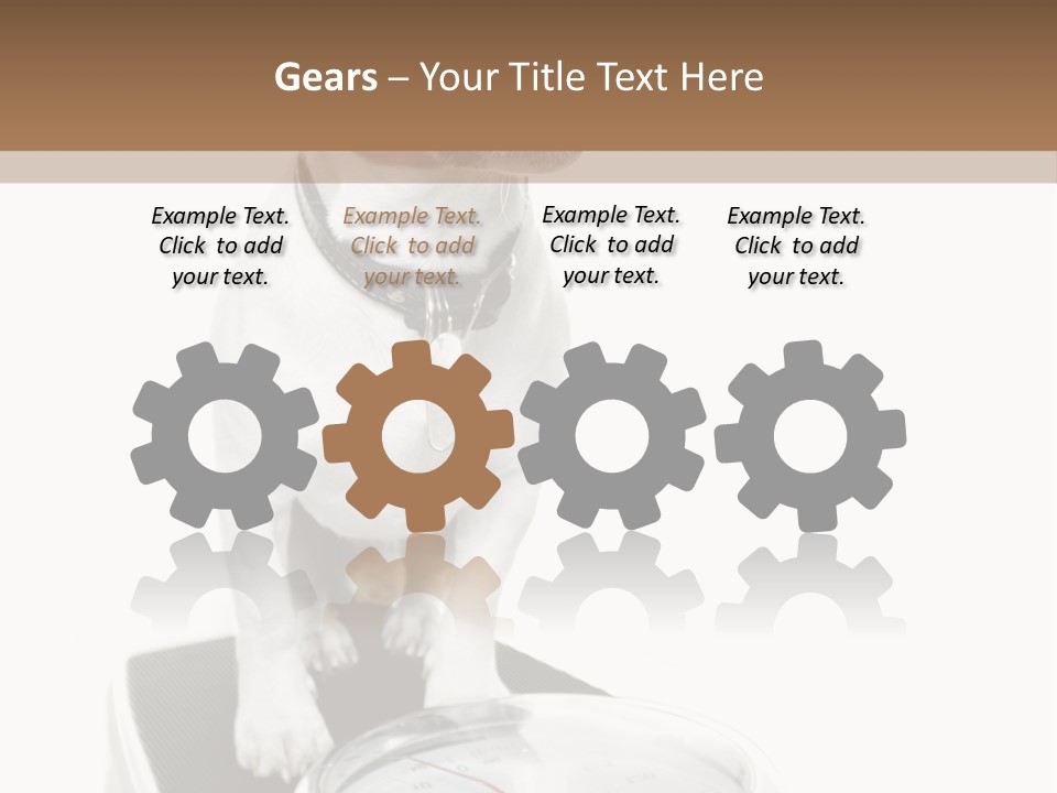 Diet Scale Veterinarian PowerPoint Template