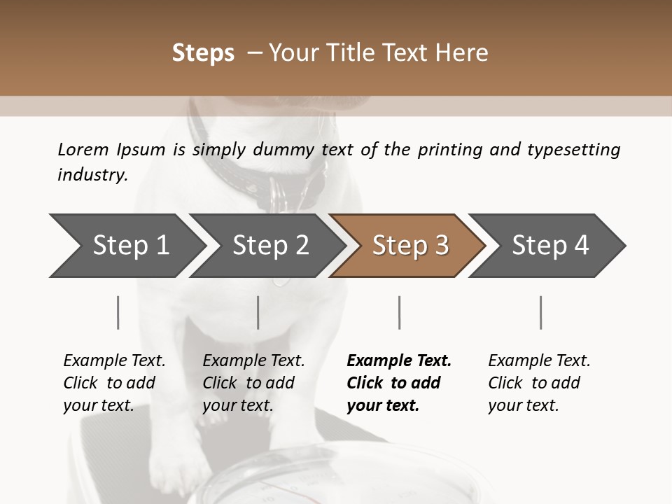 Diet Scale Veterinarian PowerPoint Template