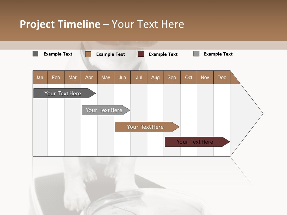 Diet Scale Veterinarian PowerPoint Template