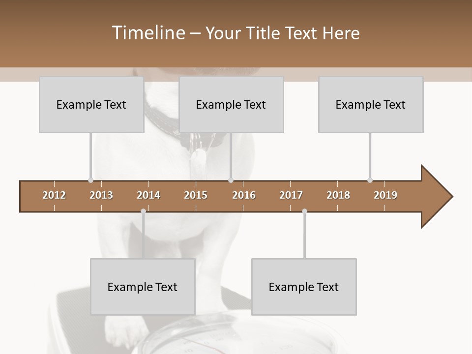 Diet Scale Veterinarian PowerPoint Template