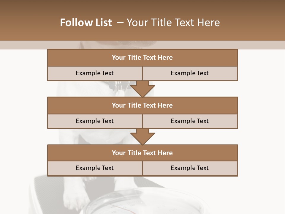 Diet Scale Veterinarian PowerPoint Template
