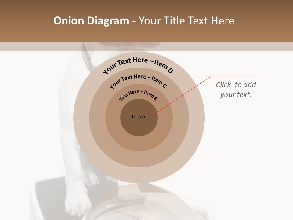 Diet Scale Veterinarian PowerPoint Template