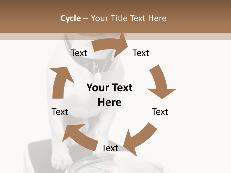 Diet Scale Veterinarian PowerPoint Template