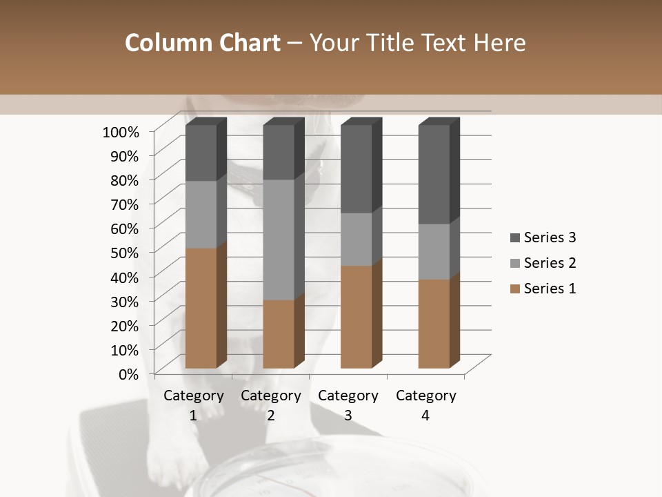 Diet Scale Veterinarian PowerPoint Template