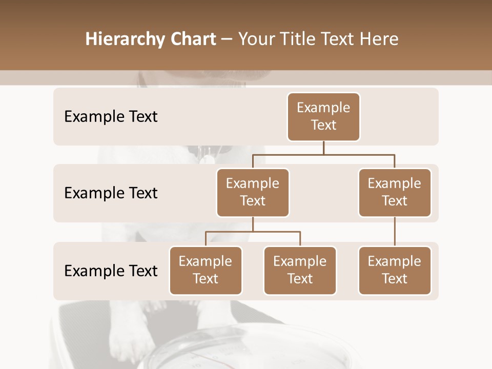 Diet Scale Veterinarian PowerPoint Template