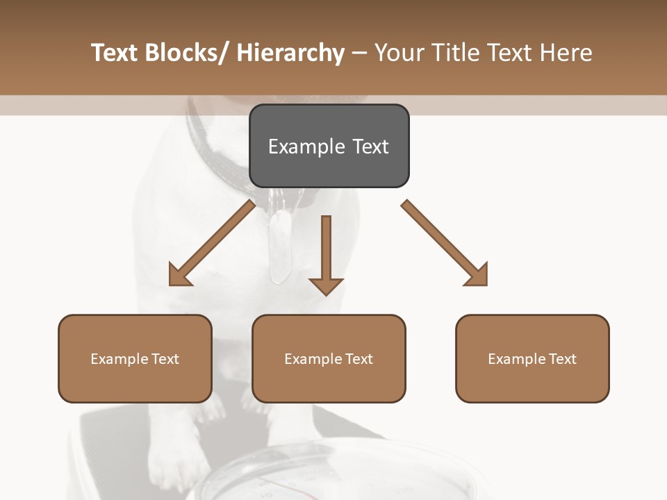 Diet Scale Veterinarian PowerPoint Template