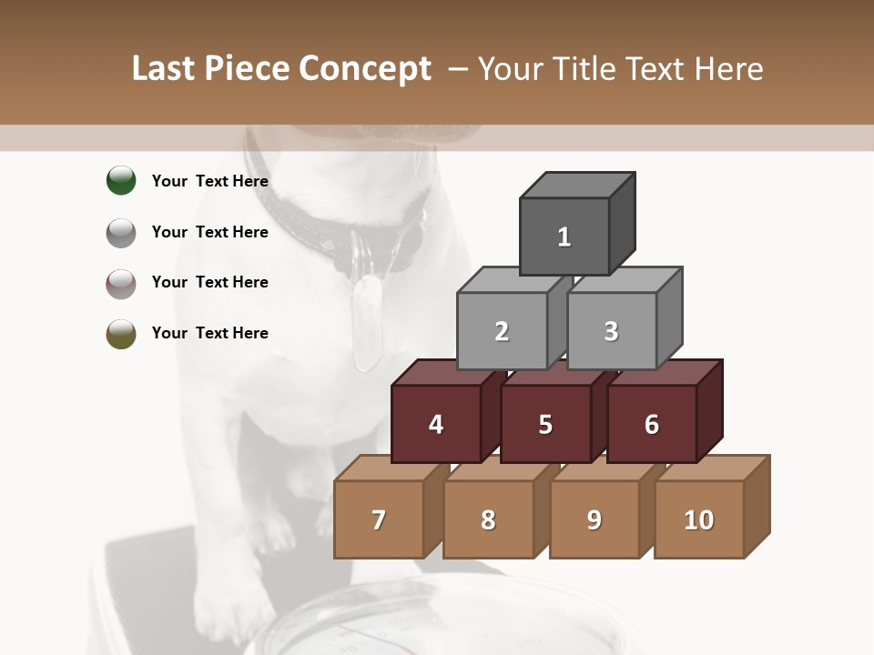 Diet Scale Veterinarian PowerPoint Template