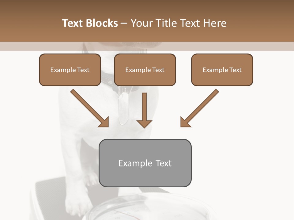 Diet Scale Veterinarian PowerPoint Template