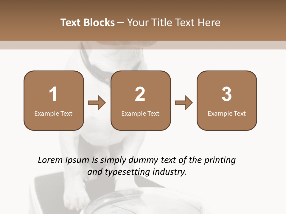 Diet Scale Veterinarian PowerPoint Template