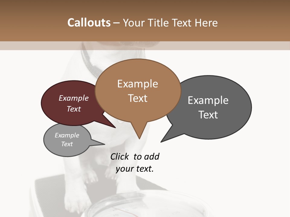 Diet Scale Veterinarian PowerPoint Template