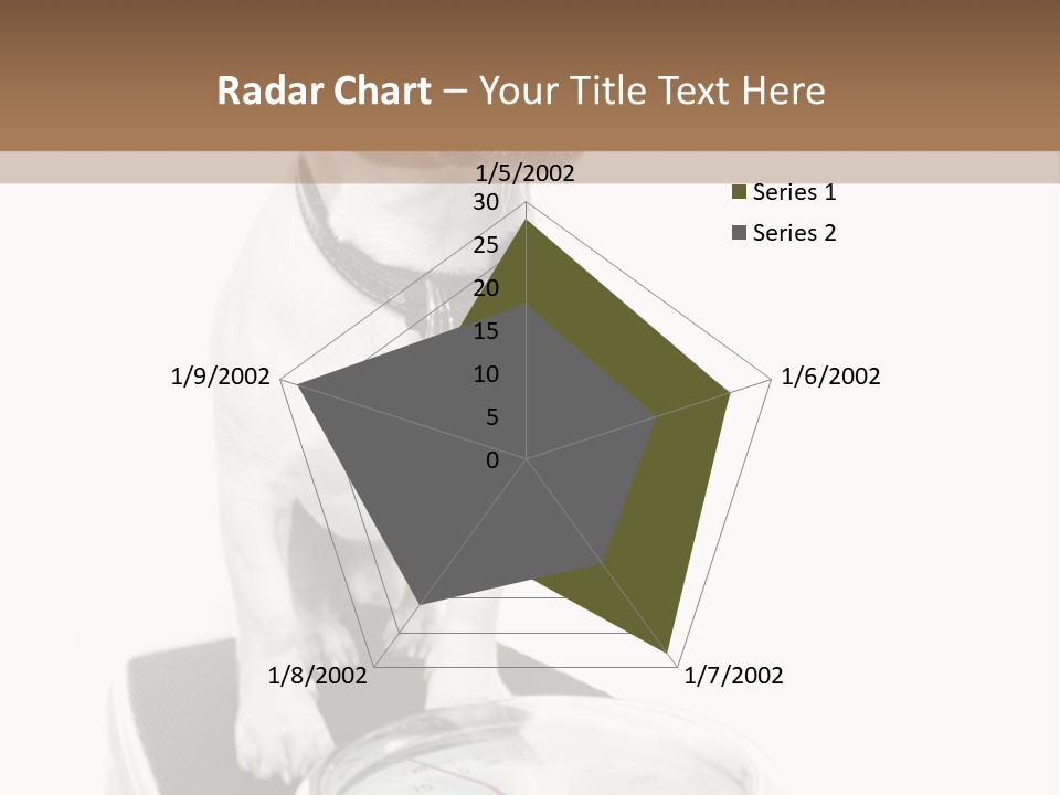 Diet Scale Veterinarian PowerPoint Template