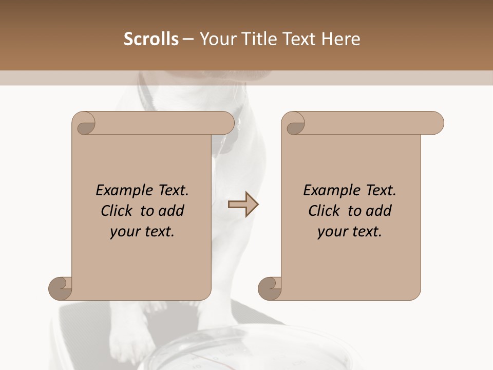 Diet Scale Veterinarian PowerPoint Template