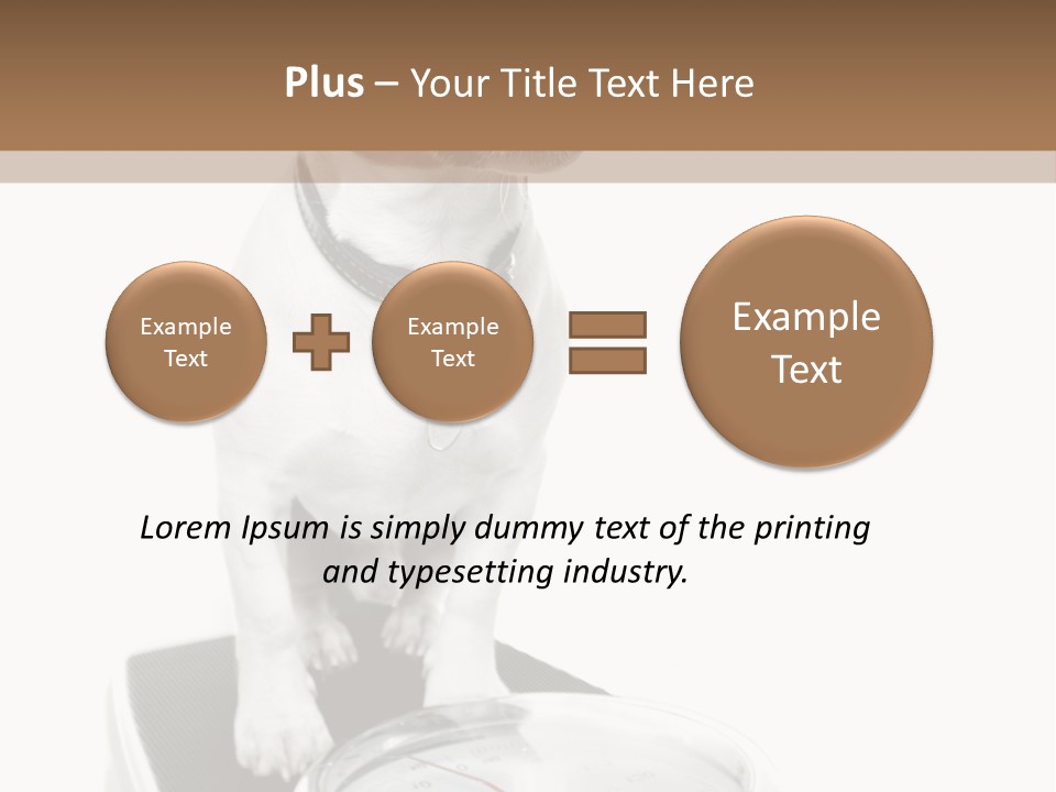 Diet Scale Veterinarian PowerPoint Template