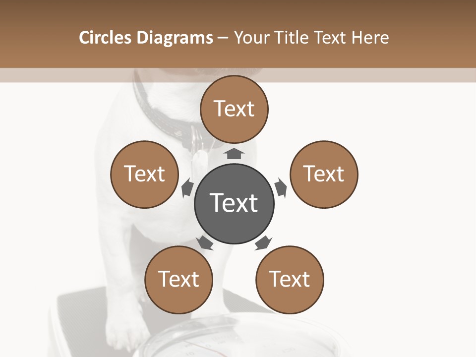 Diet Scale Veterinarian PowerPoint Template