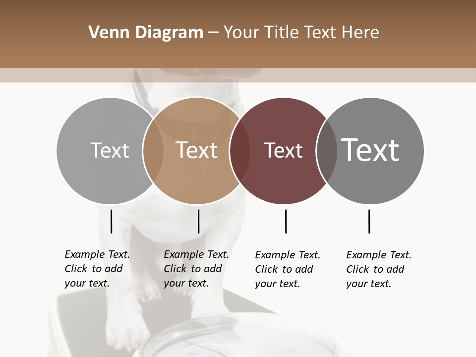 Diet Scale Veterinarian PowerPoint Template