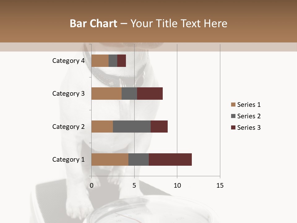 Diet Scale Veterinarian PowerPoint Template